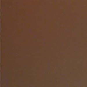 Meet your Posher, Reyna